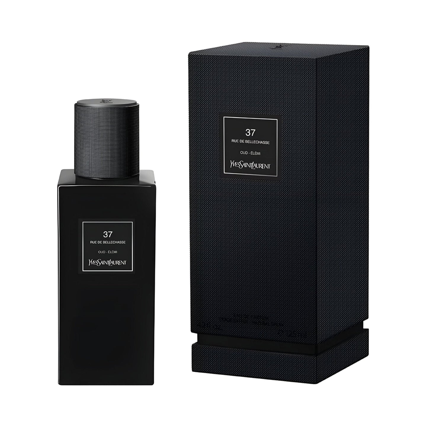 37 RUE DE BELLECHASSE By Yves Saint Laurent